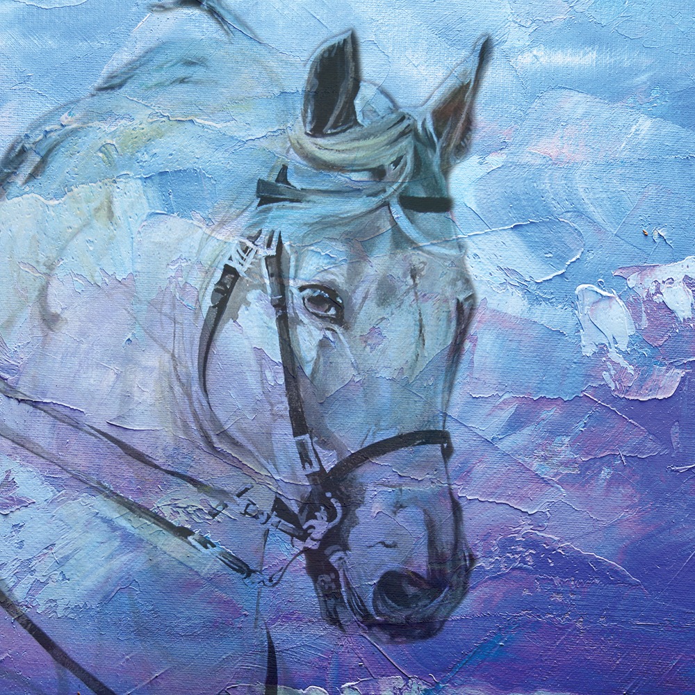 TSG Melbourne Cup SQUARE
